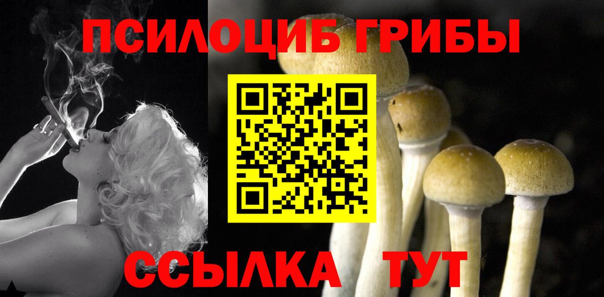 Галлюциногенные грибы MAGIC MUSHROOMS Советская Гавань
